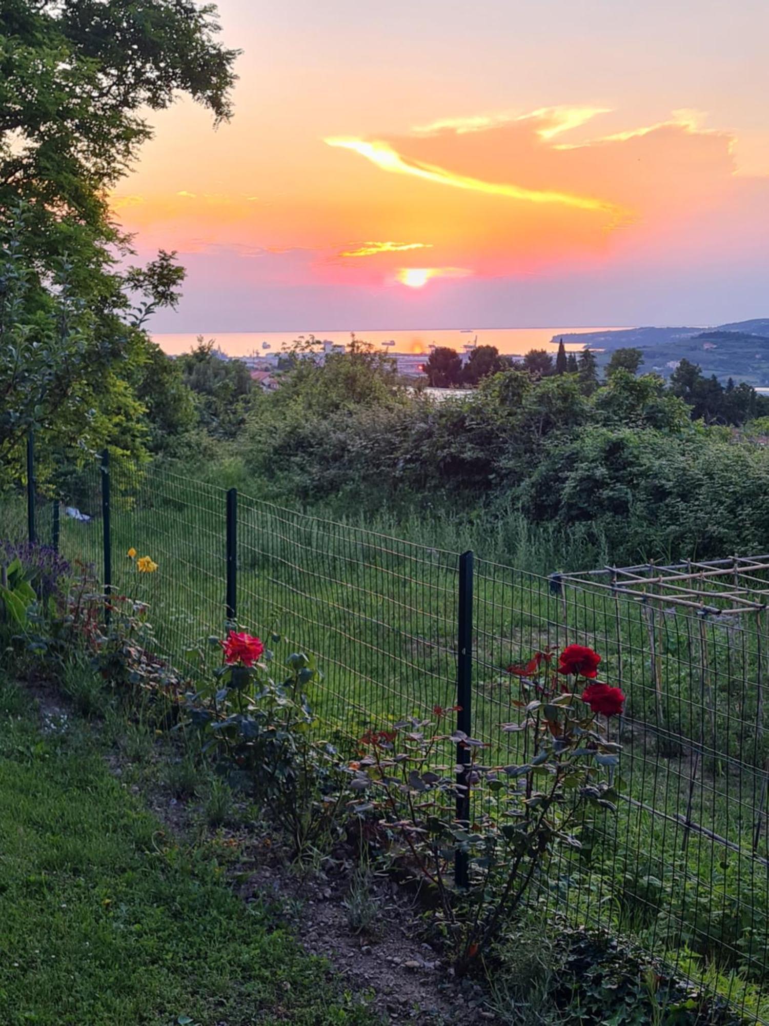 Apartment Full Moon Pobegi Zewnętrze zdjęcie